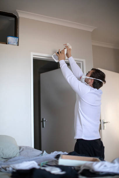 Professional Mold Removal in Tiltonsville, OH